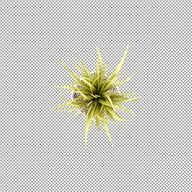 Planta aislada en renderizado 3d