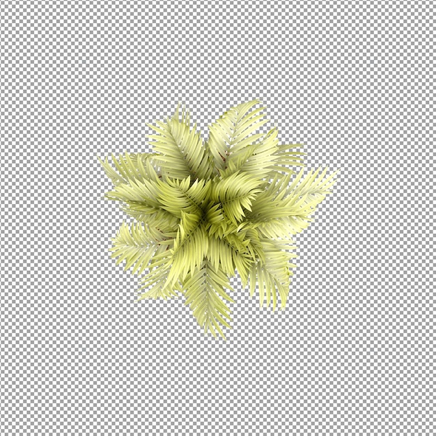 Planta aislada en renderizado 3d