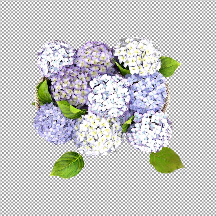 PSD planta aislada en renderizado 3d