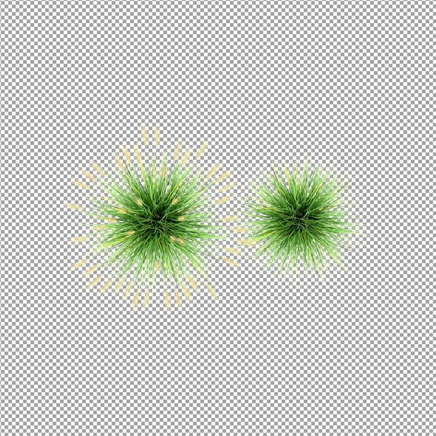 Planta aislada en renderizado 3d