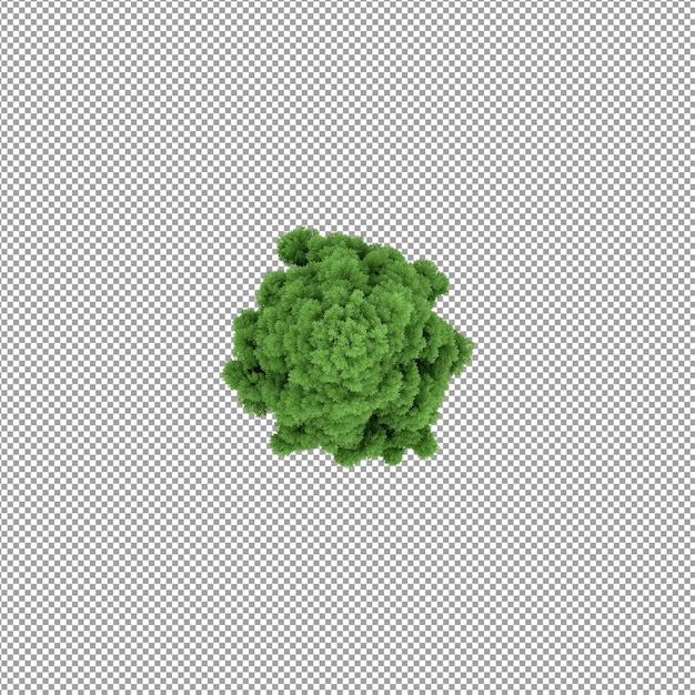Planta aislada en renderizado 3d