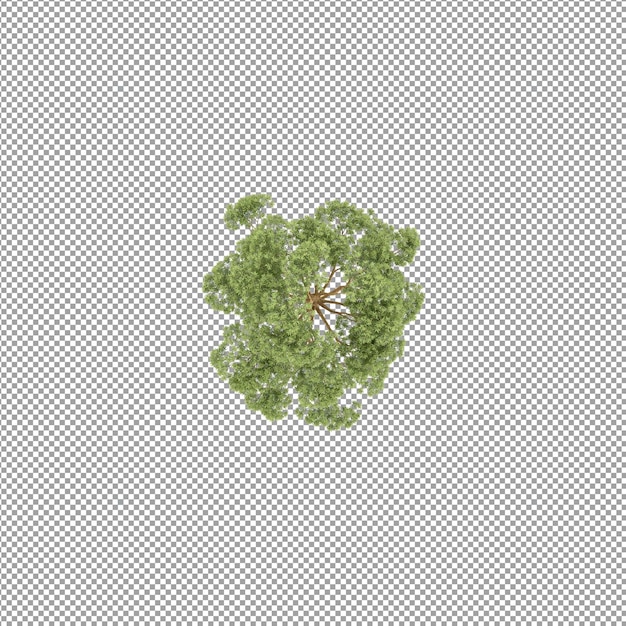 Planta aislada en renderizado 3d