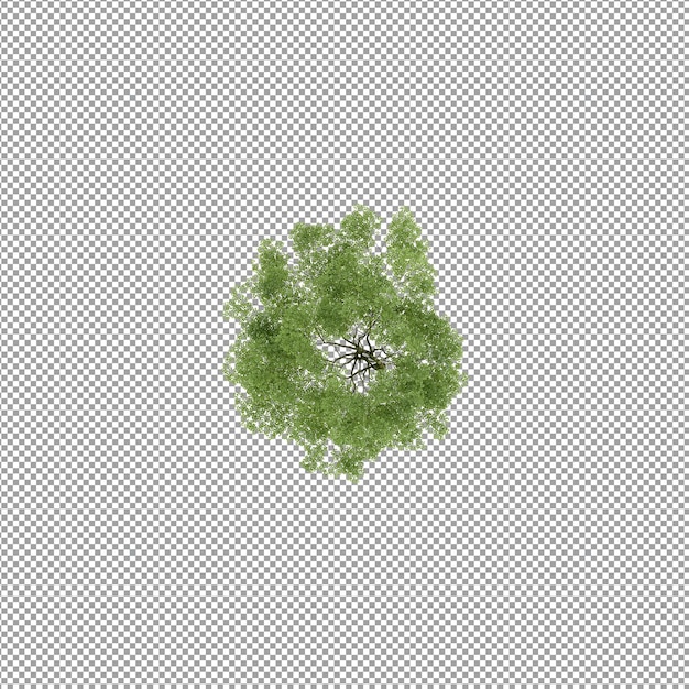 Planta aislada en renderizado 3d