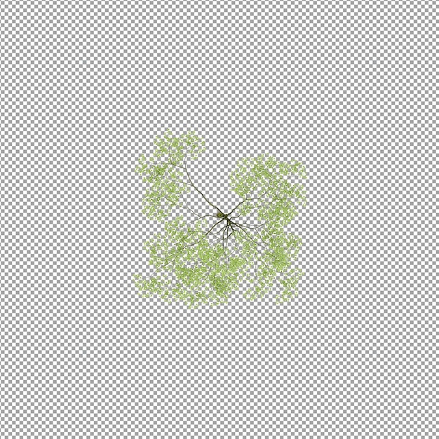 Planta aislada en renderizado 3d