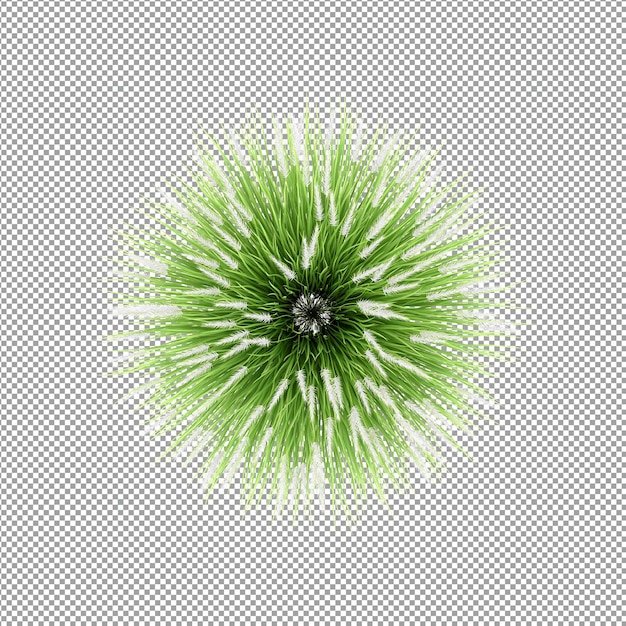 Planta aislada en renderizado 3d