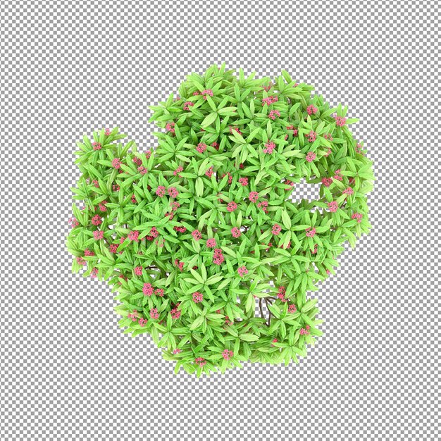 Planta aislada en renderizado 3d