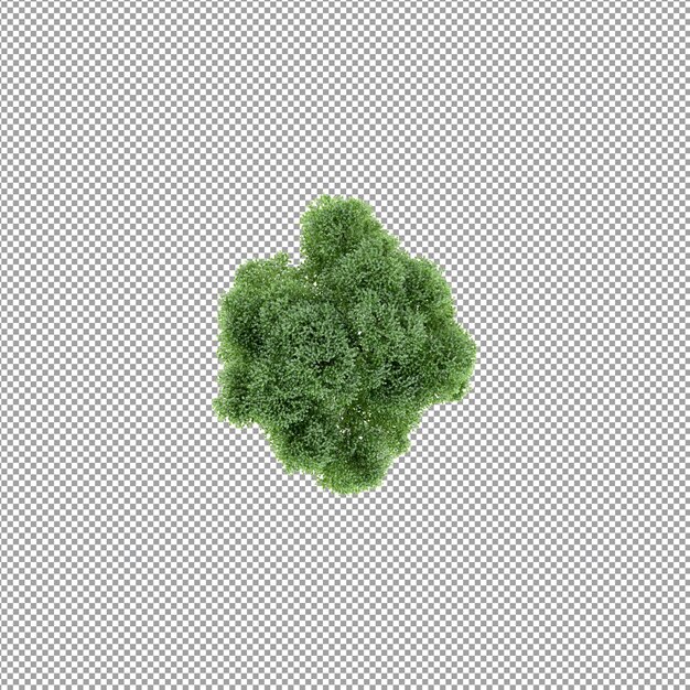 Planta aislada en renderizado 3d