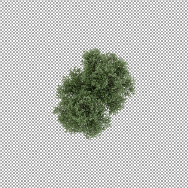 Planta aislada en renderizado 3d