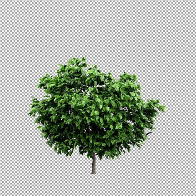 Planta aislada en renderizado 3d