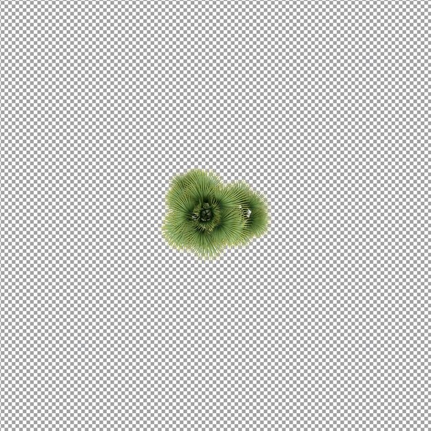 Planta aislada en renderizado 3d