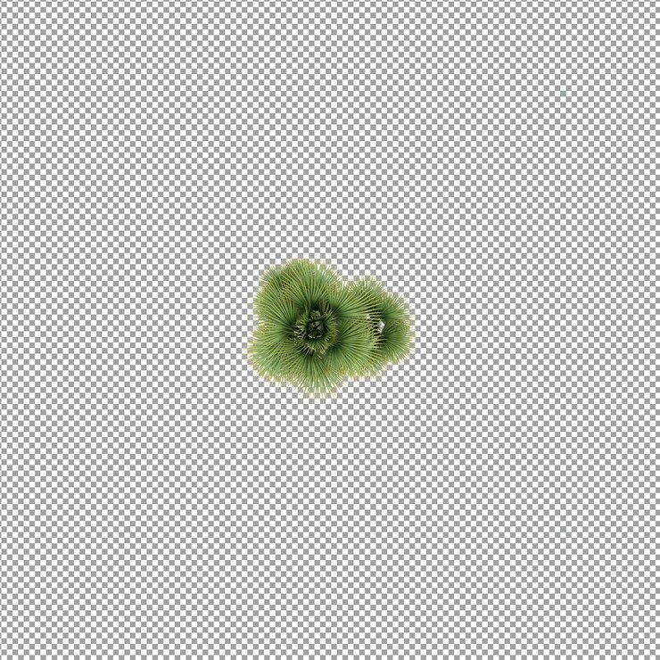 PSD planta aislada en renderizado 3d