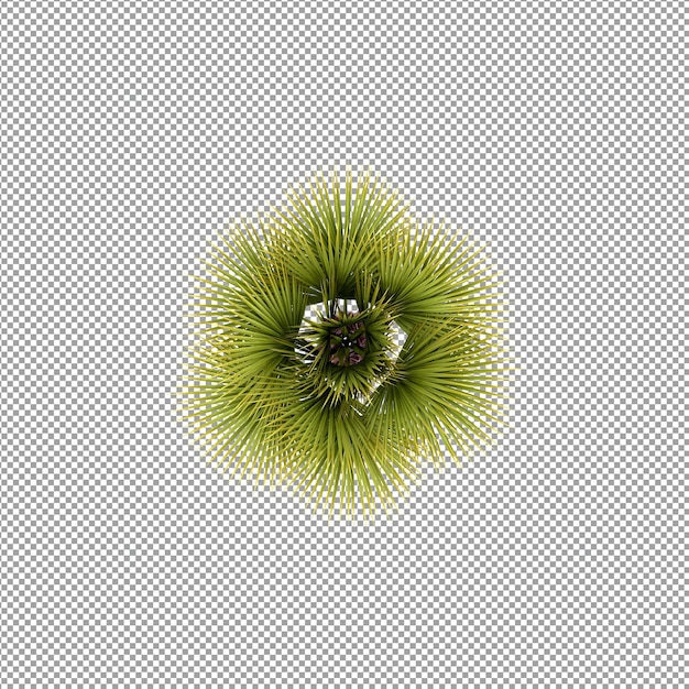 Planta aislada en renderizado 3d