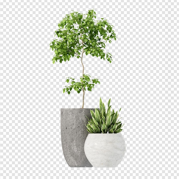 Planta aislada en renderizado 3d