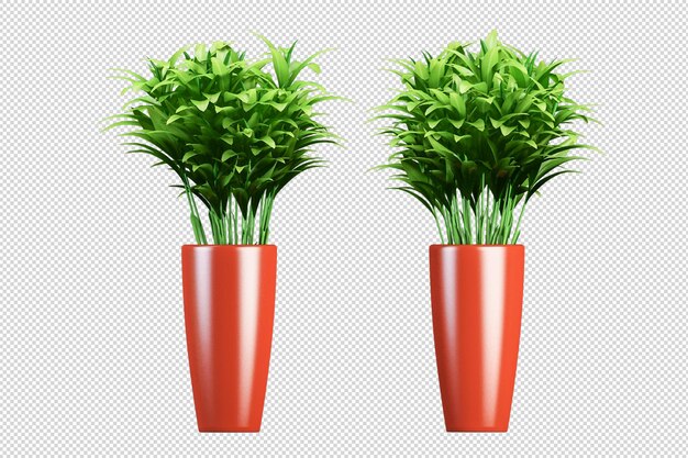 Planta aislada en renderizado 3d