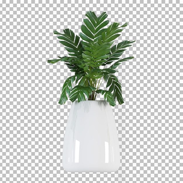 PSD planta aislada en renderizado 3d