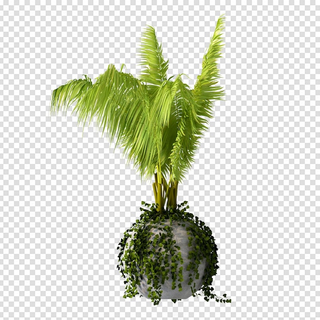 Planta aislada en renderizado 3d