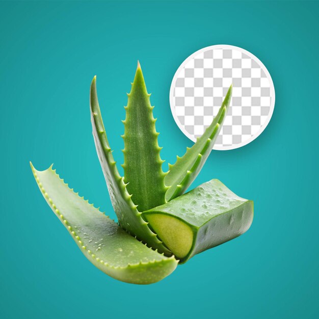 PSD la planta de aloe vera