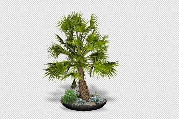 Planta de árboles y flores tropicales en renderizado 3d aislado