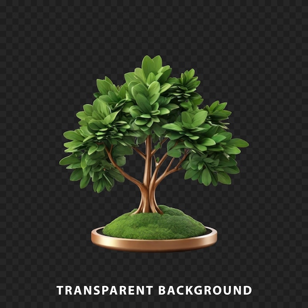 Planta arbórea aislada sobre un fondo transparente