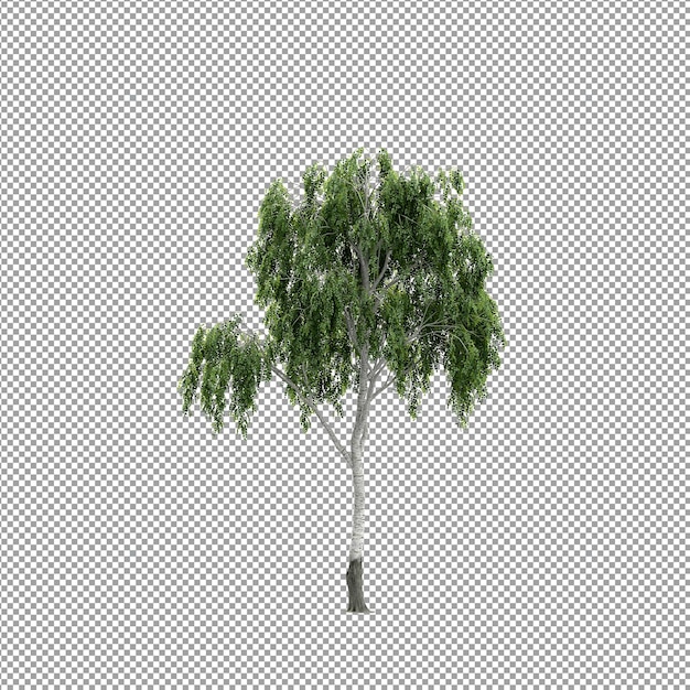 Planta bonita em renderização 3D isolada