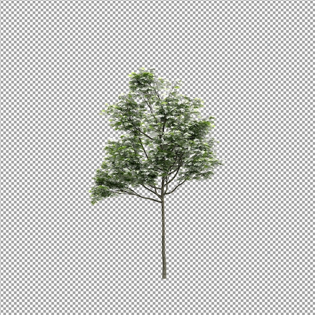 Planta bonita em renderização 3D isolada