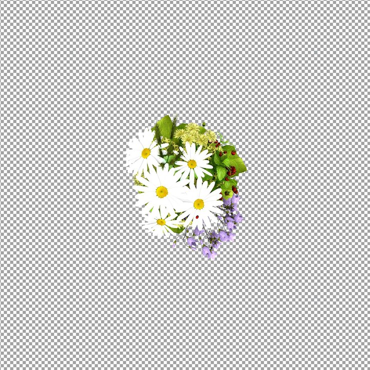 PSD planta bonita em renderização 3d isolada