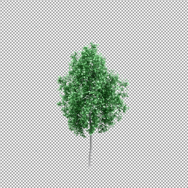 Planta bonita em renderização 3D isolada