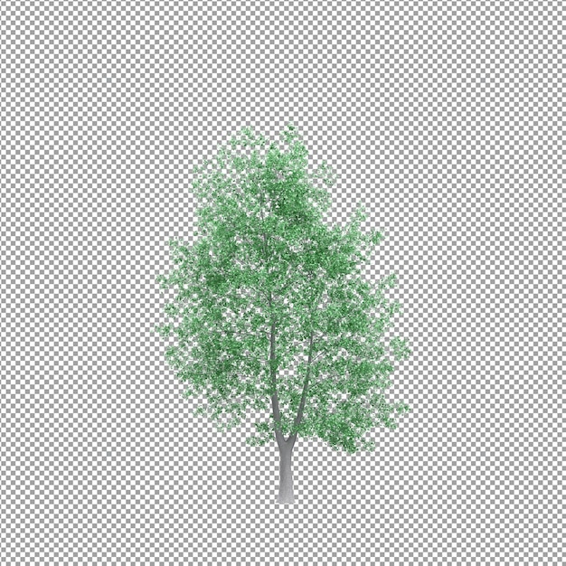 Planta bonita em renderização 3D isolada