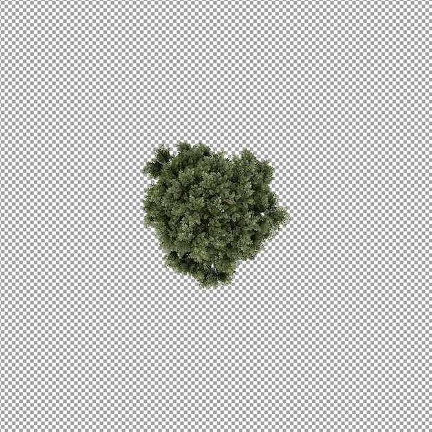 Planta bonita em renderização 3D isolada