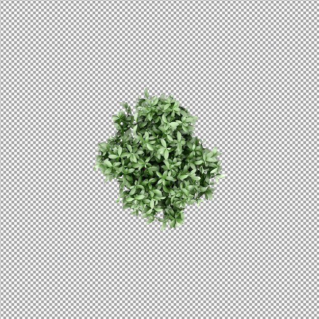 Planta bonita em renderização 3D isolada