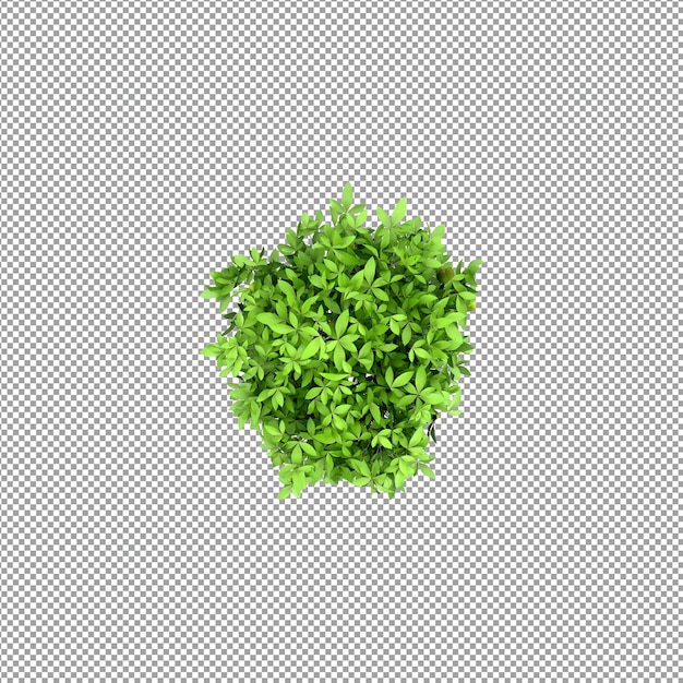 Planta bonita em renderização 3D isolada