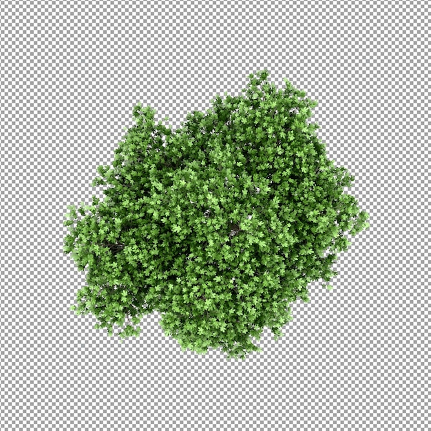 Planta bonita em renderização 3D isolada
