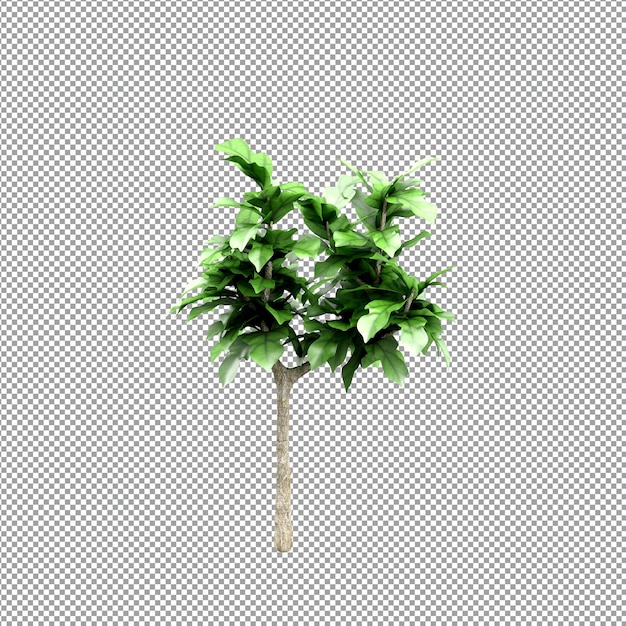 Planta bonita em renderização 3D isolada