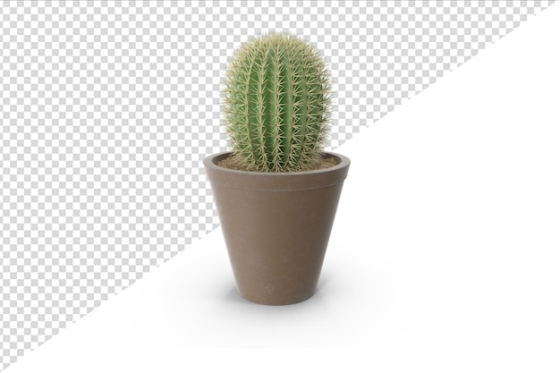 PSD planta de cactus aislado