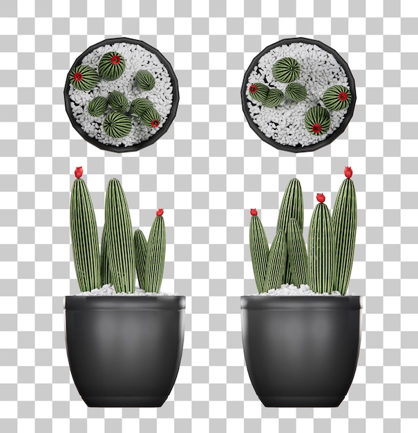 Planta de cactus isométrica representación 3d decoración de interiores