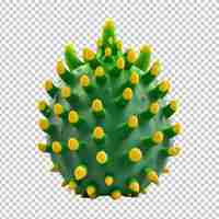 PSD una planta de cactus linda en png