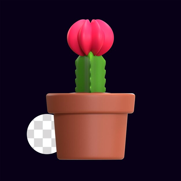 planta de cactus de luna roja injertada