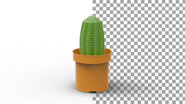 Planta de cactus con sombra 3d render