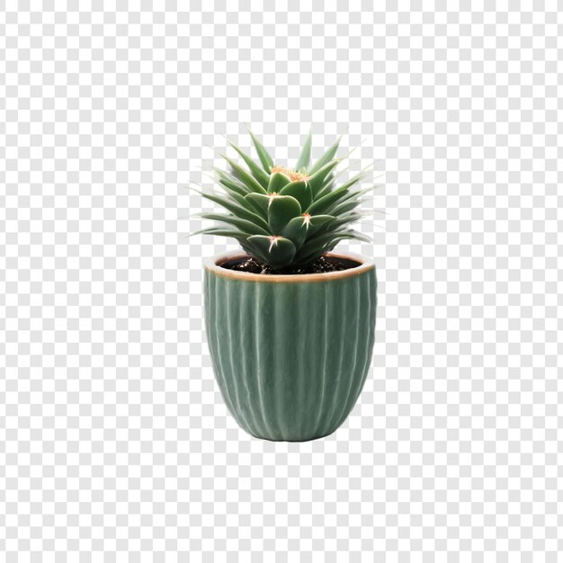 PSD una planta de cactus verde en una olla verde