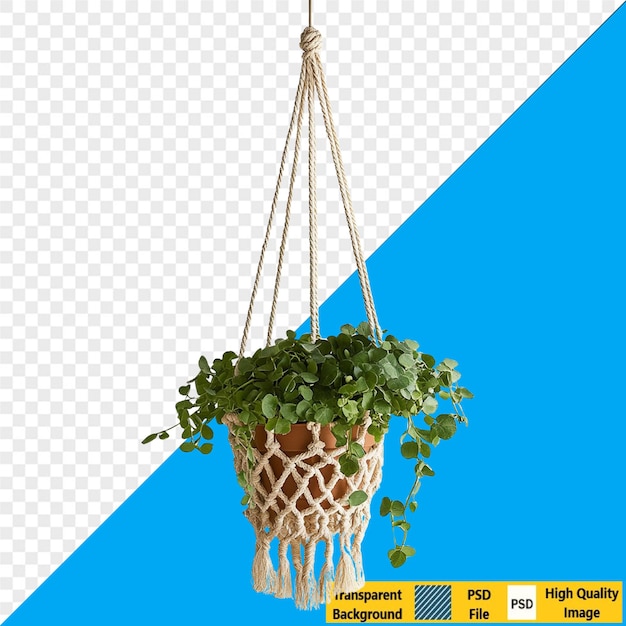 Planta colgante de macrame de Bohemia
