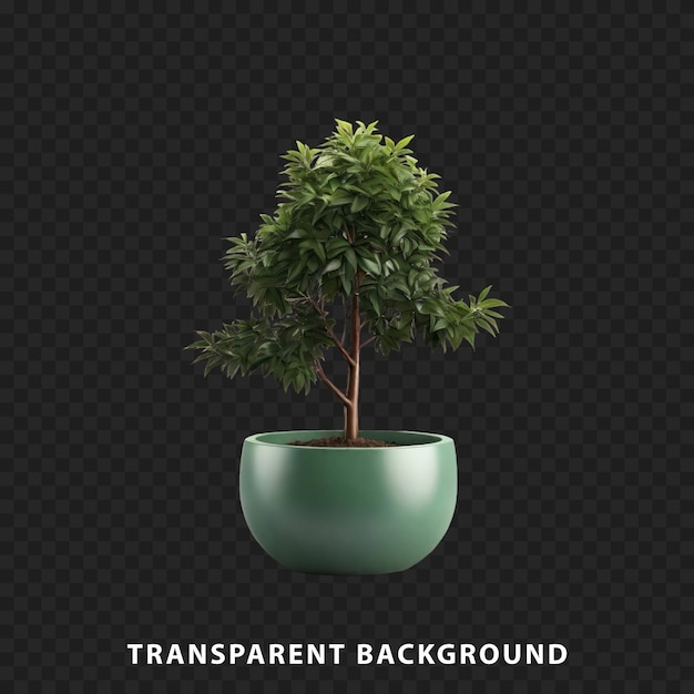 Planta de árvore em uma panela isolada em fundo transparente