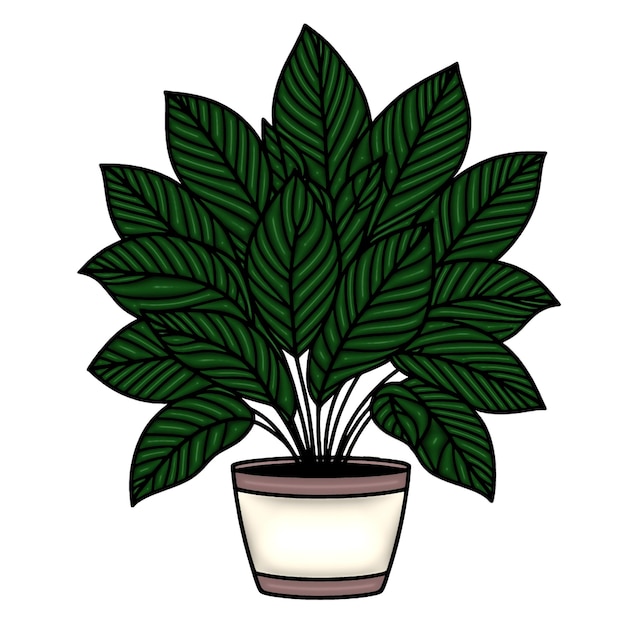 Planta de casa verde e exuberante em pote