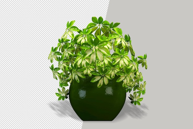 PSD planta de flores em vaso em renderização 3d isolada