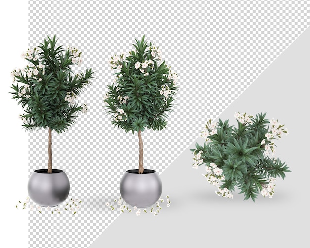 Planta de decoración en maceta en diseño de renderizado 3d