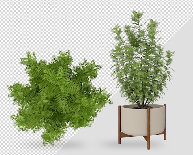 Planta de decoración en maceta en diseño de renderizado 3d