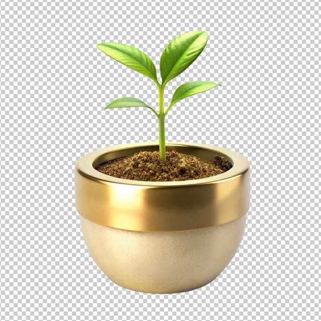 PSD planta em pote dourado em fundo transparente