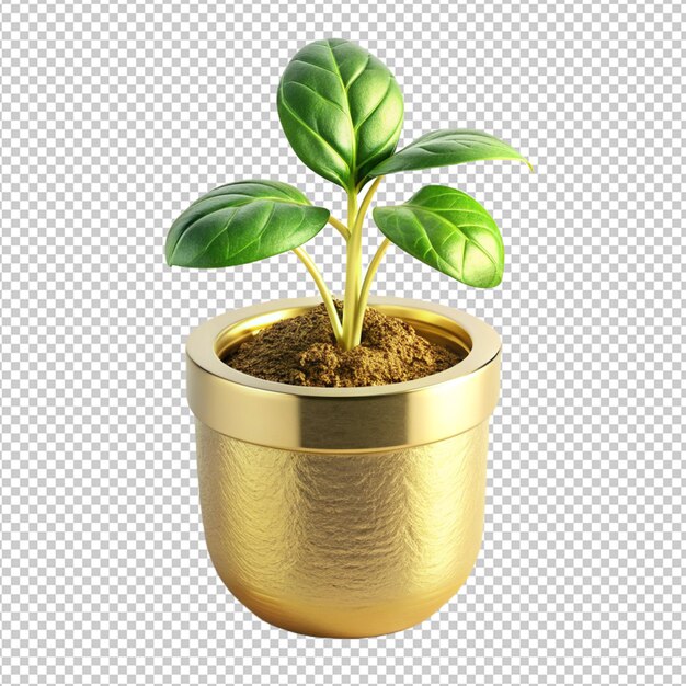 Planta em pote dourado em fundo transparente