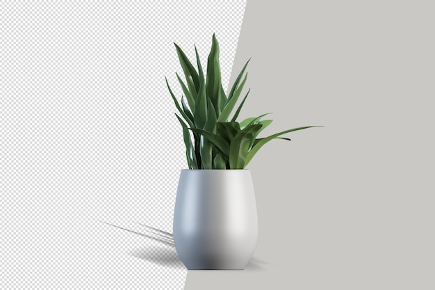 Planta em renderização 3d isolada