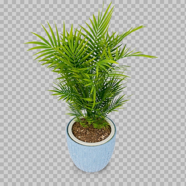 Planta em renderização 3d isolada