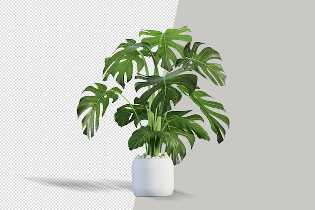 PSD planta em renderização 3d